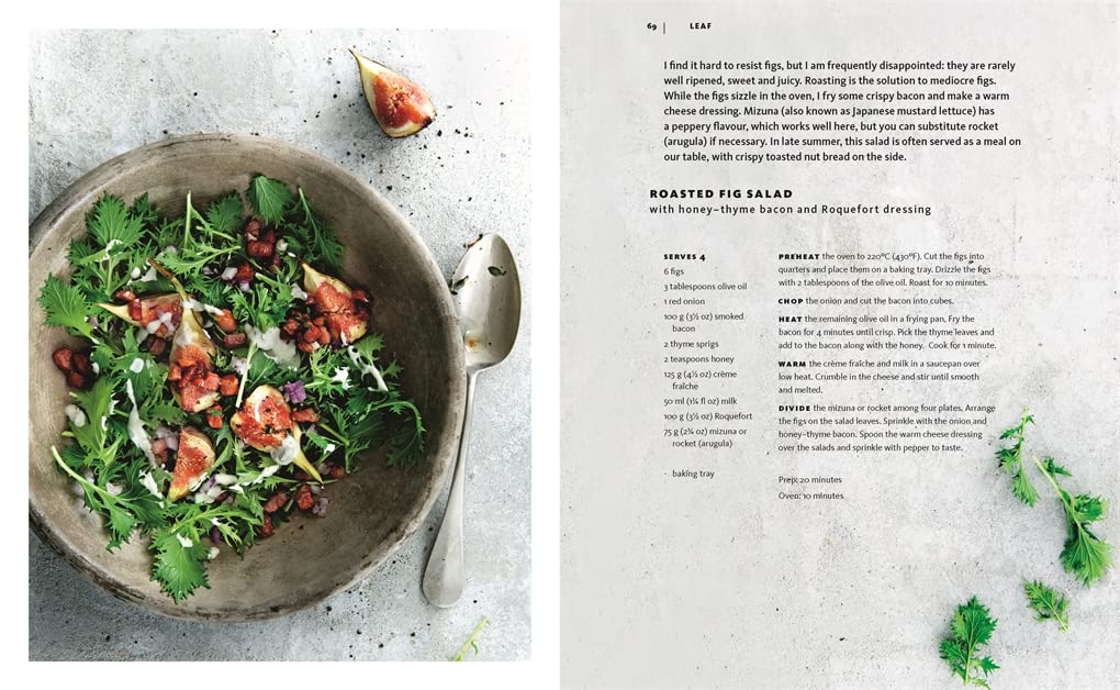 Bok - Salad