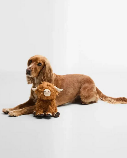 Hundeleke - Highland Cow Toy